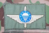 Das bronzene EMFV-abzeichen der 4 ausgebildeten Flächenspringer des IR 59 - Tragegenehmigung zu Uniformen des ÖBH
